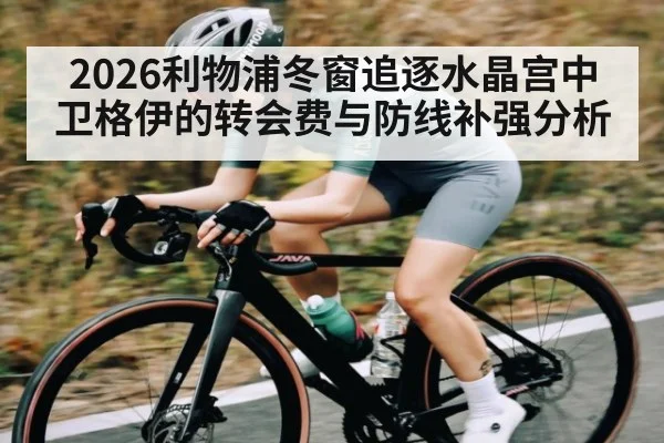 2026利物浦冬窗追逐水晶宫中卫格伊的转会费与防线补强分析
